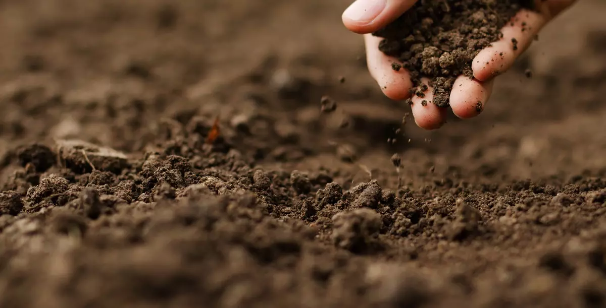 Empresa de Geotécnicos Jaén